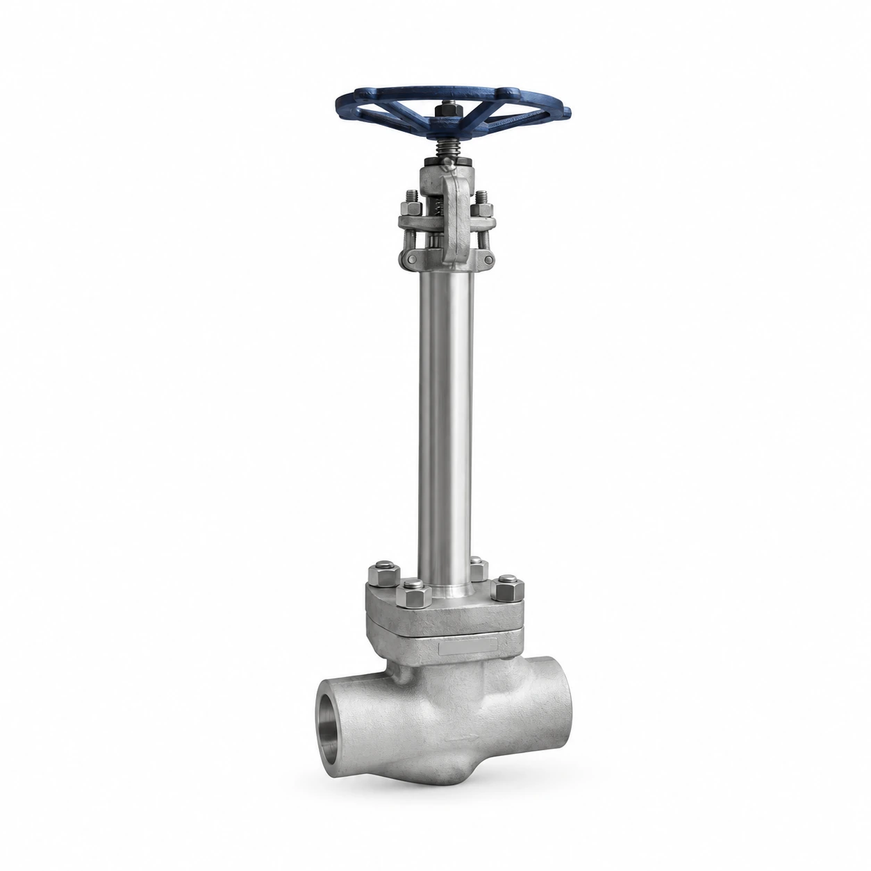 Forged cryogenic globe valve — reference-based product illustration, Socket weld (SW) · Flanged