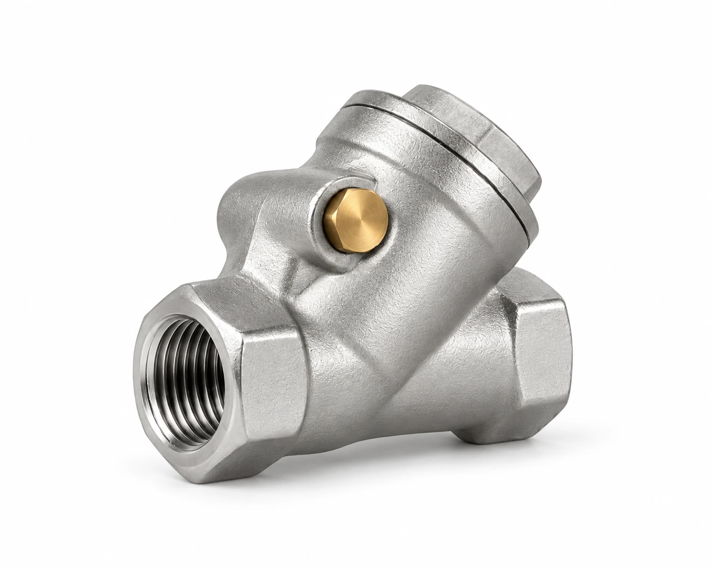 Cryogenic swing check valve · PN40 · BSP/NPT — reference-based product illustration, BSP / NPT threaded